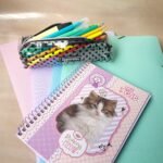 Estojo Pequeno Poá Cristal - Preto - Imagem 3